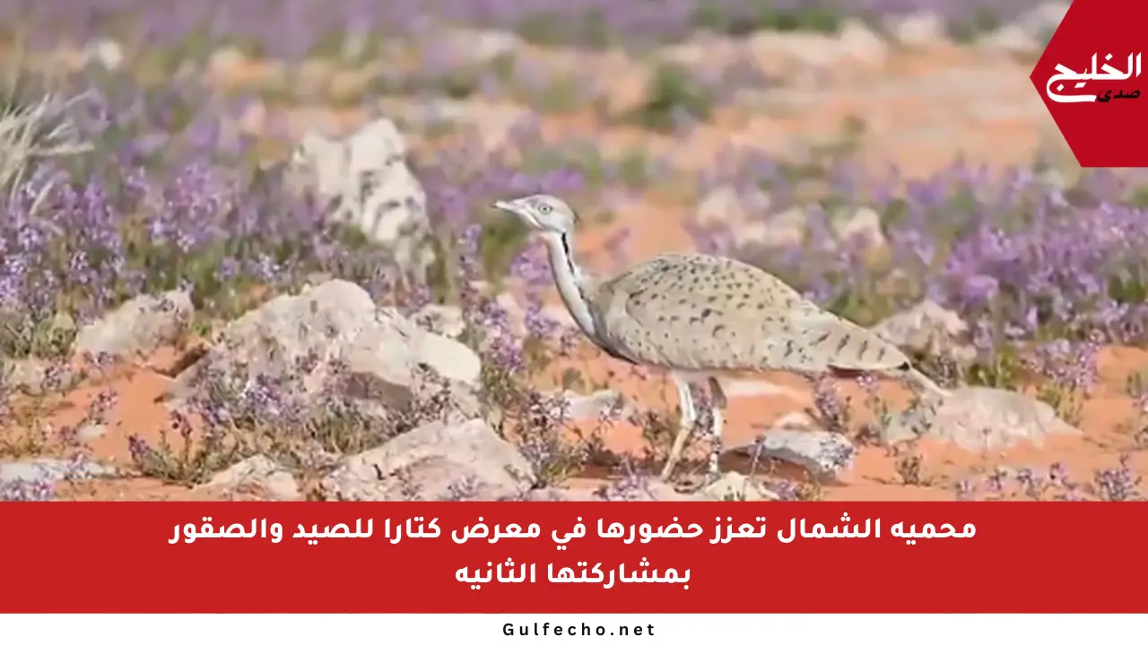 محمية الشمال تعزز حضورها في معرض كتارا للصيد والصقور بمشاركتها الثانية